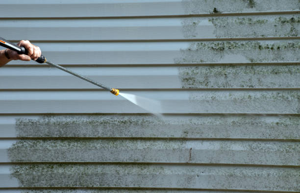 Best Pool Deck Cleaning  in Debary, FL